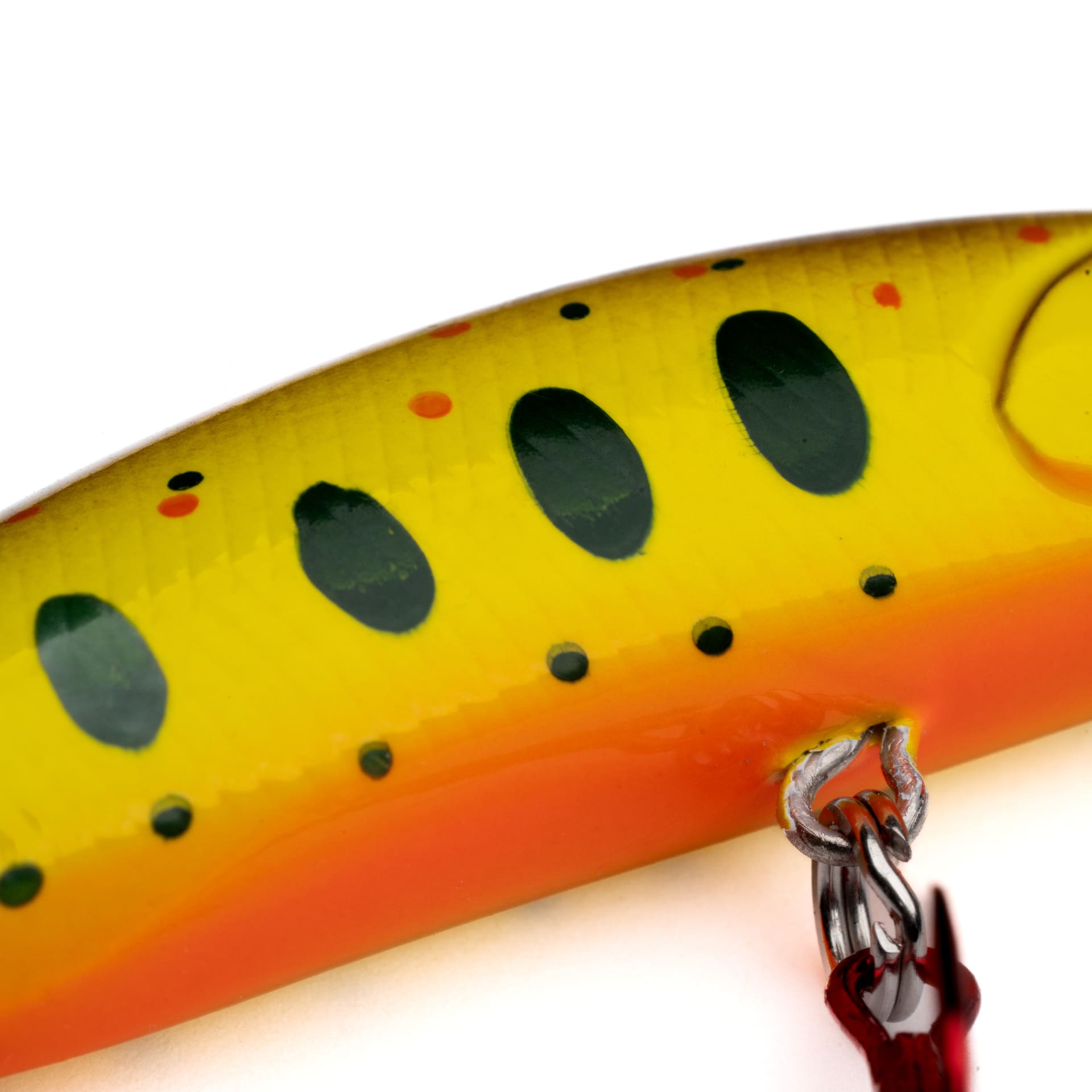 Hundred Strikes Hugin Spotted Orange