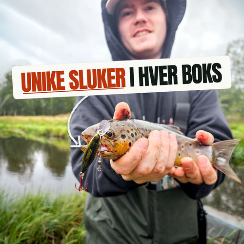 Gullslukens Mystiske Fiskeboks