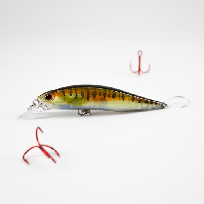 True Minnow
