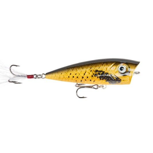 Recast Fishing Topwater Popper