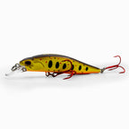Hugin Spotted Orange